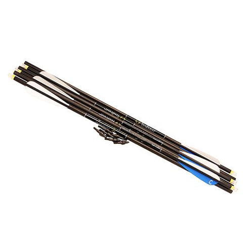 20" Omni-Brite 2.0 Lighted PE Carbon Arrows - 6 Pack