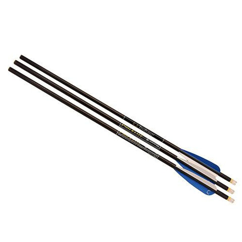 20" Omni-Brite 2.0 Lighted PE Carbon Arrows - 3 Pack