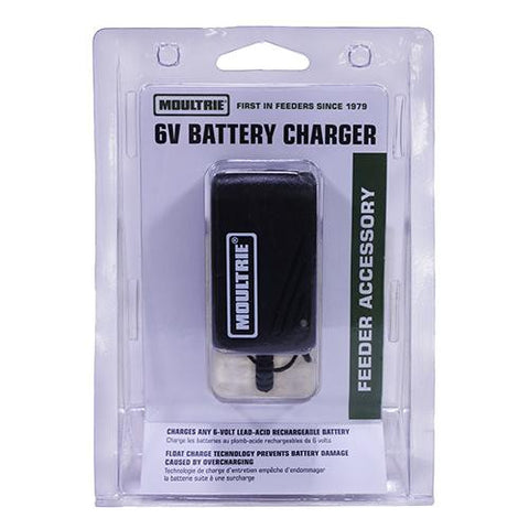 6 Volt Battery Charger
