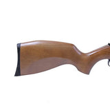 RWS 350 N-TEC Magnum Classic - 22 Caliber