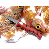 Fillet Knife - 5" Lucky Lew Folding