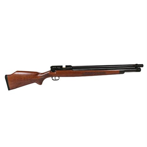 Winchester BigBore Model 70 - .45 Caliber