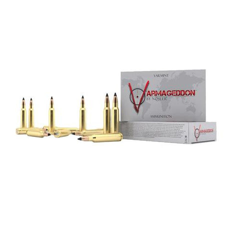 308 Winchester Ammunition - 308 Winchester, 110 Grains, Tipped Flat Base, Per 20