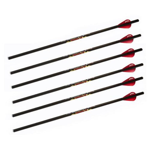 Diablo 18" Carbon Arrows - 6 Pack