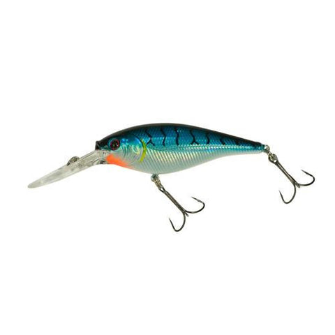 Flicker Shad Hard Bait - 2" Length, 9'-11' Swimming Depth, 2 Hooks, Blue Tiger, Per 1