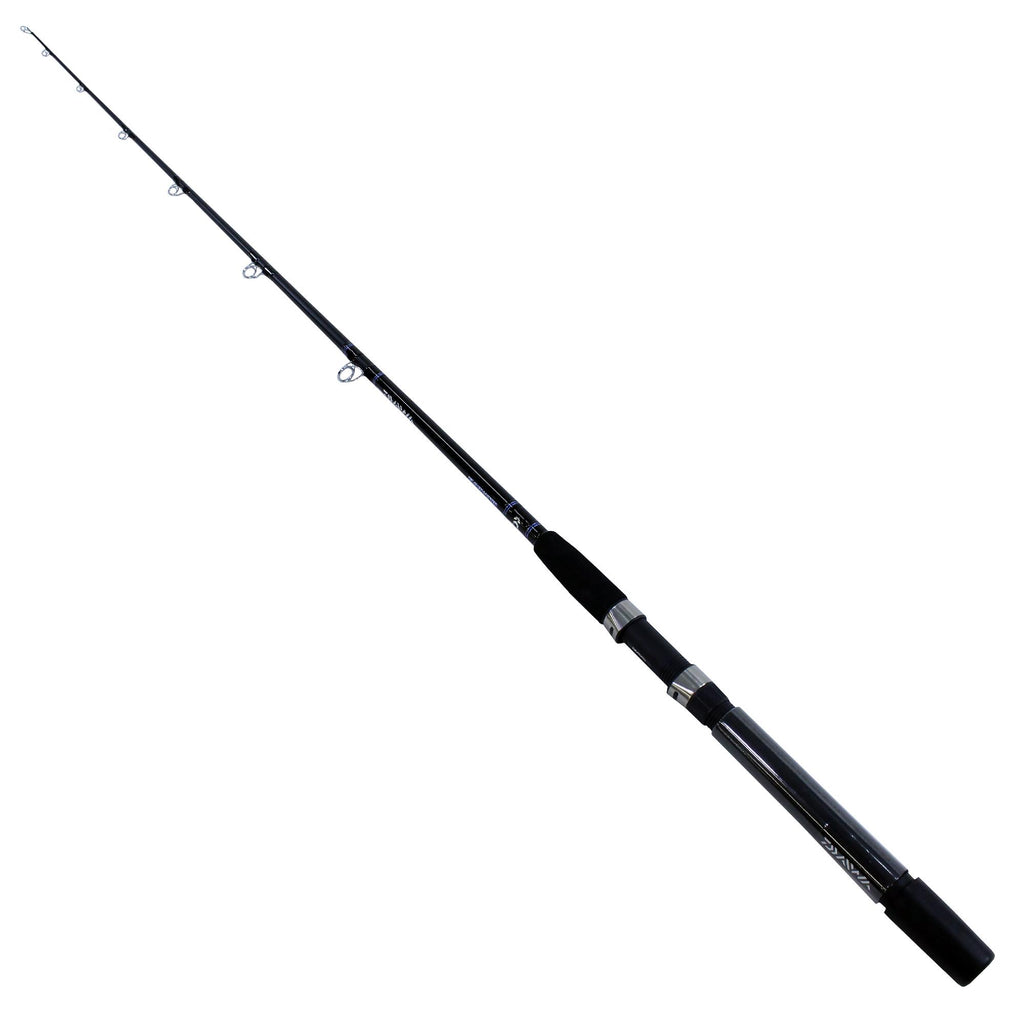 Eliminator Boat Rod - Conventional, 6'