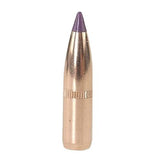 6mm Bullets - Ballistic Tip Hunting, 90 Grains, Spitzer, Per 50