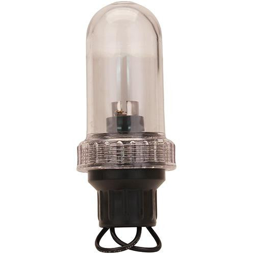 General Purpose Light, 3-4" IPT Base, Clear