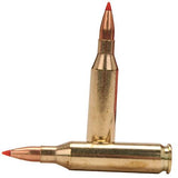 243 Winchester - 75 Gr V-Max Superformance (Per 20)