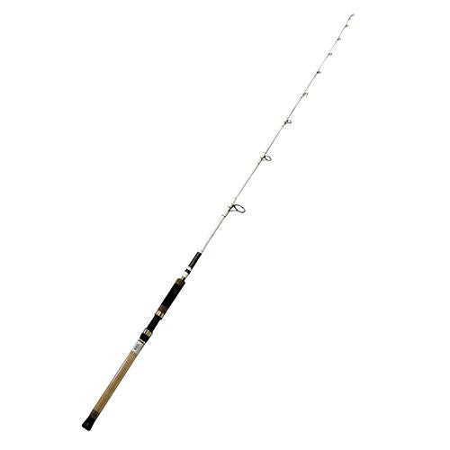 Battle Spinning Catfish Rod, 8' Length, 2 Piece Rod, Heavy Power