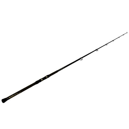 Longitude Surf Casting Rod - 9', Heavy 2 Piece