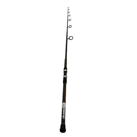 Longitude Surf Spin Rod - 9', Heavy, 2 Piece