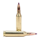 243 Winchester Ammunition - Ballistic Tip, 90 Grains, Spitzer, Per 20