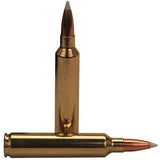 28 Nosler Ammunition - Trophy Grade, 160 Grains, AccuBond, Per 20