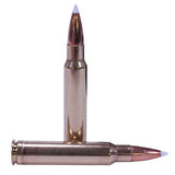 338 Winchester Magnum Ammunition - Trophy Grade, 225 Grains, AccuBond, Per 20