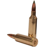 270 Winchester Short Magnum Ammunition - Trophy Grade, 130 Grains, E-Tip Lead Free, Per 20