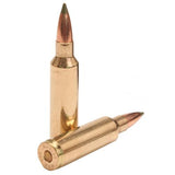 300 Winchester Short Magnum - Trophy Grade, 180 Grains, E-Tip Lead Free, Per 20