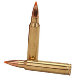 5.56x45mm NATO Ammunition - Silver State Armory, 55 Grains, Nosler Ballistic Tip Varmint, Per 20