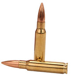 308 Winchester Ammunition - Silver State Armory, 168gr, Custom Competition Hollow Point Boat Tail, Per 20