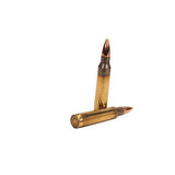 223 Remington - 62 Gr FMJBT (Per 50)