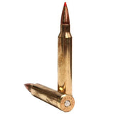 300 Winchester Magnum - 180 Gr SST (Per 20)
