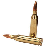 243 Winchester 95 Gr Terminal Shock (Per 20)