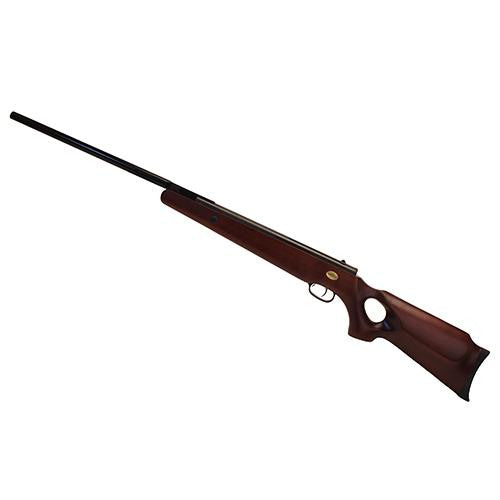 Bear Claw Air Rifle - .22 Caliber