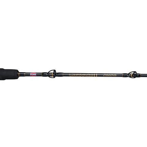 Carnage II Jigging Casting Rod - 6'6" Length, 1 Piece Rod, 30-80 lb Line Rate, Medium Power, Moderate Fast Action