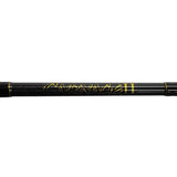 Carnage II Surf Spinning Rod - 8' Length, 2 Piece Rod, 15-30 lb Line Rate, Medium Power, Moderate Fast Action