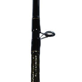 Aird-X Braiding-X Casting Rod - 6'6" Length, 1 Piece Rod, Medium Power, Fast Action