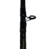 Aird-X Braiding-X Casting Rod - 6'6" Length, 1 Piece Rod, Medium-Heavy Power, Fast Action