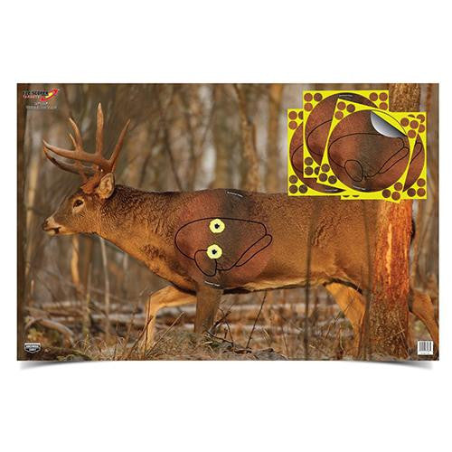 Eze-Scorer Whitetail Deer 23" x 35" - 2 Targtes (Folded)