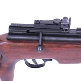 SAG CO2 Air Rifle - .177 Caliber with Thumbhole Stock