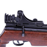 SAG CO2 Air Rifle - .22 Caliber, Bolt Action, Peep Sights