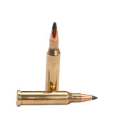 .17 Hornet, 20 Grains, Tipped Varmint, Per 50