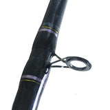 AccuDepth Trolling Rod - 9'6" Length, 2 Piece Rod, 12-30 lb Line Rate, Heavy Power, Regular Action