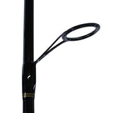 BG Saltwater Pre-Mounted Spinning Combo - 7' Length, 1 Piece Rod,  7 Bearings, Medium-Heavy Power