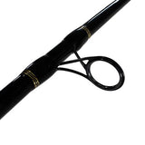 BG Saltwater Pre-Mounted Combo - Spinning, 7 Bearings, 9' Length, 2 Piece Rod, Medium-Heavy Power