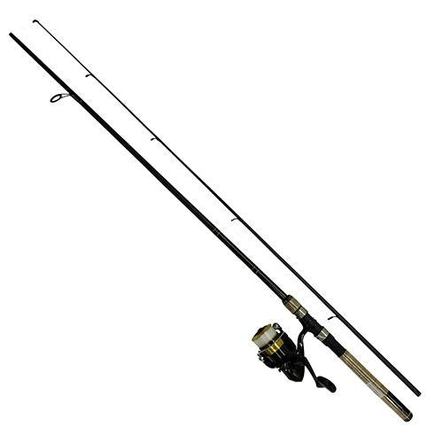 D-Shock Freshwater Spinning Combo - 3000, 7' Length, 2 Piece Rod, 6-14 lb Line Rating, Medium Power