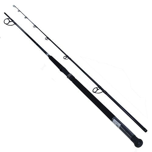 Emcast Surf Spinning Rod - 9' Length, 2 Piece Rod, 15-25 lb Line Rate, 1-4 oz Lure Rate, Medium Power