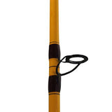 FT Surf Spinning Rod - 10' Length, 2 Piece Rod, 10-20 lb Line Rating, Mediu Power, Fast Action