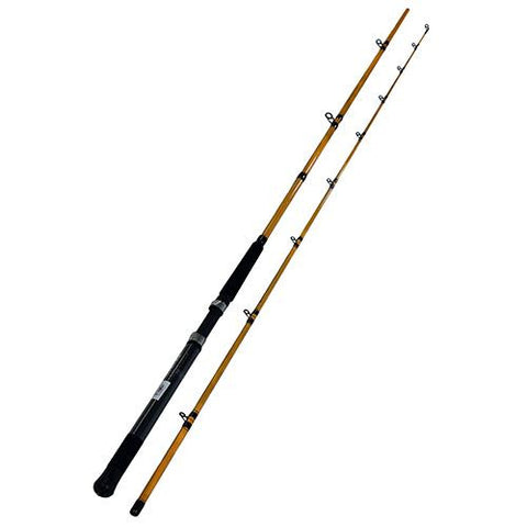 FT Trolling Rod - 9'6" Length, 2 Piece Rod, 20-30 lb Line Rating, Medium-Light Power