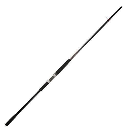 Ugly Stik Bigwater Casting Rod - 10' Length, 2pc Rod, 30-60 lb Line Rate, 6-12 oz Lure Rate, Medium-Heavy Power