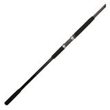 Ugly Stik Bigwater Casting Rod - 10' Length, 2pc Rod, 30-60 lb Line Rate, 6-12 oz Lure Rate, Medium-Heavy Power