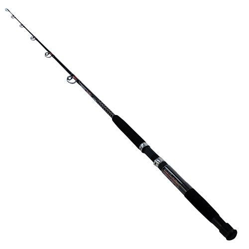 Bigwater Casting Rod - 6'6" Length, 1 Piece Rod, 20-50 lb Line Rating, Medium-Heavy Power