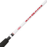 Big Game Spinning Combo - 5.2:1 Gear Ratio 2 Bearings, 8' Length 2pc Rod, Medium-Heavy Power, Ambidextrous