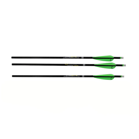 Omni-Brite 2.0 Lighted 20" Arrows - Plain Carbon, Per 3