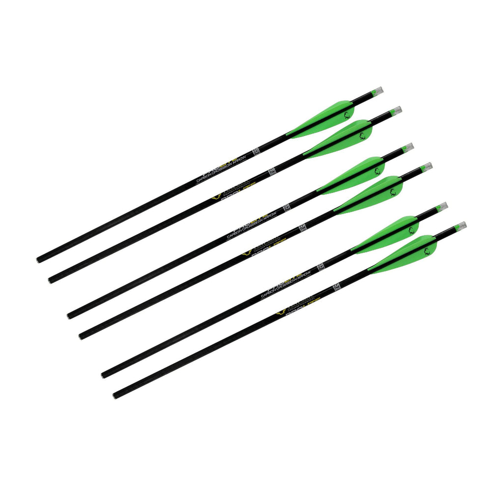 Omni-Brite 2.0 Lighted 20" Arrows - Plain Carbon, Per 6