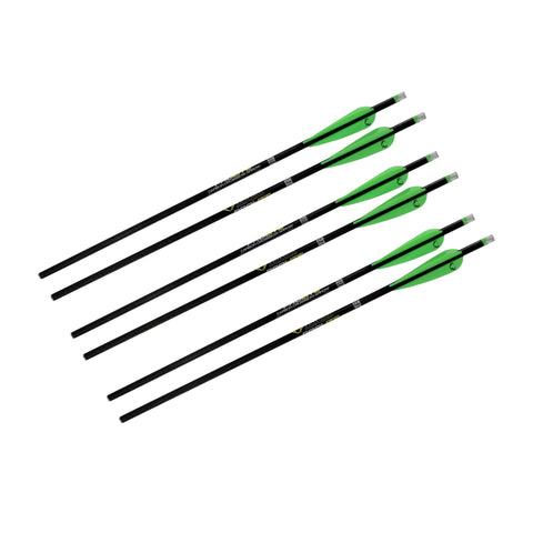 Omni-Brite 2.0 Lighted 20" Arrows - Plain Carbon, Per 6