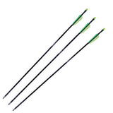 Youth Fiberglass Arrows, Per 3